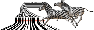 Kassensoftware Etikettendruck