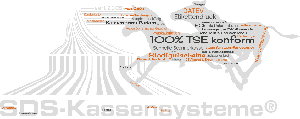 SDS Kassensoftware Vorstellung
