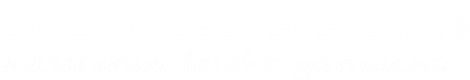 sds-kassensysteme.de logo