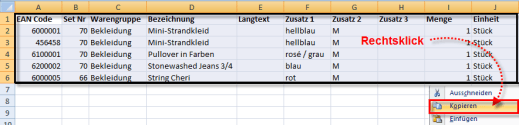 9_Kassensystem_Einzelhandel_2008_Importproblem_EAN_als_Formel.png
