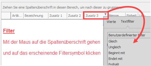 SDS Kassensoftware Neo Filter verwenden